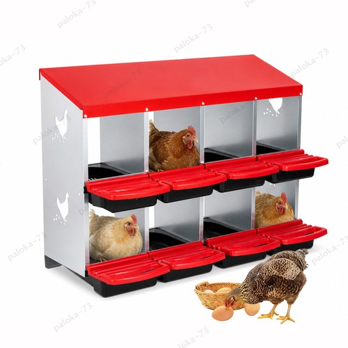 Compartment chicken hen - 8,