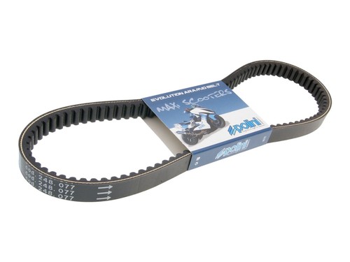 Drive belt polini - belt, aramid