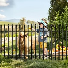 Metal Garden Fence Decorative