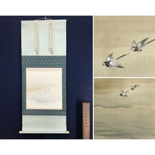 Japanese authentic river bird - japanese,