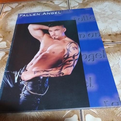 Fallen angel vintage - vintage, gay