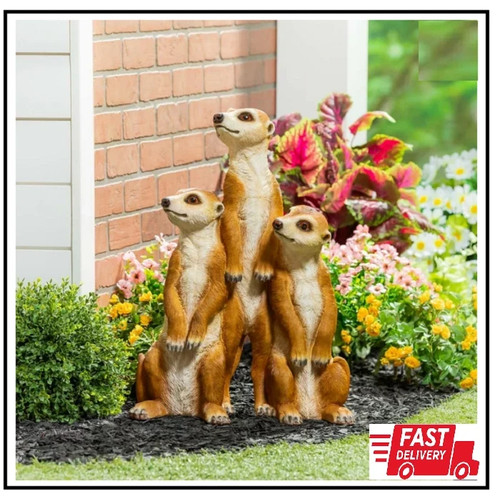 Garden meerkat statue - meerkat, –