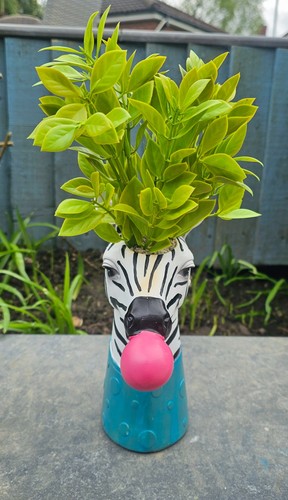Ziggy the zebra quirky pot - zebra,