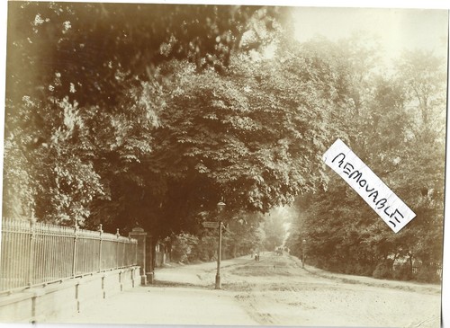 Vintage old photo gallery - photo,