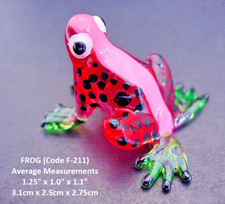 Beautiful Miniature GLASS FROG