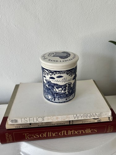 Vintage blue stilton cheese - blue,