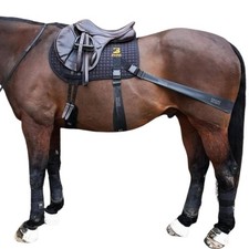 Equine Band System SPORT. Pro