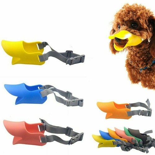 Pet puppy muzzle dog cat - pet,