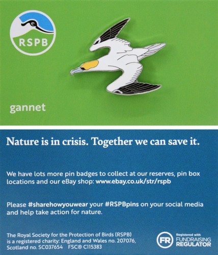 Rspb pin badge niic - badge,