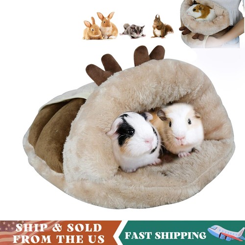 Guinea pig hideout - guinea,