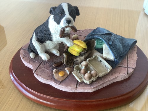 Border fine arts collie pup - fine,