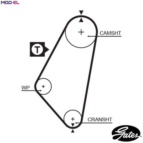 Timing belt 5083 for bedford - timing,