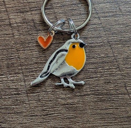 Adorable sweet cute robin - adorable, bird