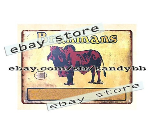 Brahmans bull cattle livestock - bull,