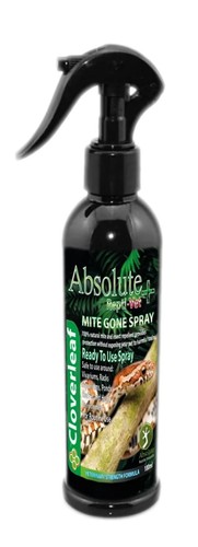 Cloverleaf absolute reptile - absolute,