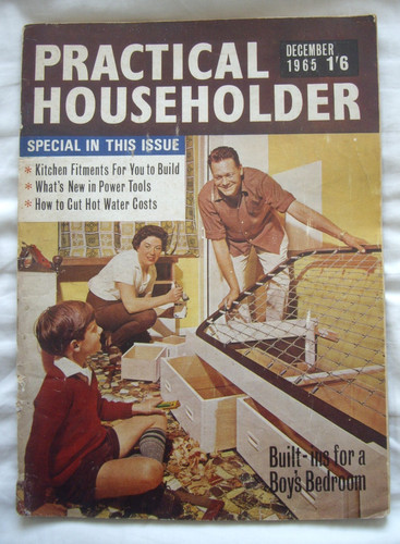 The practical householder - the,