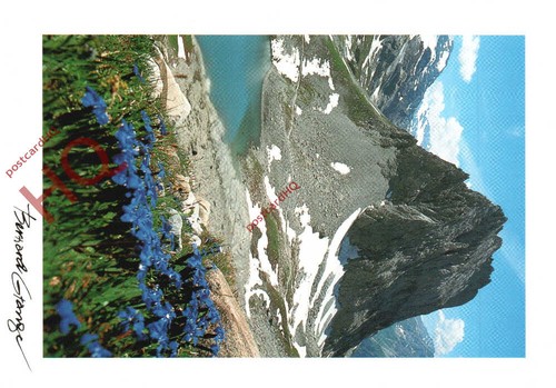 Picture postcard french - picture,