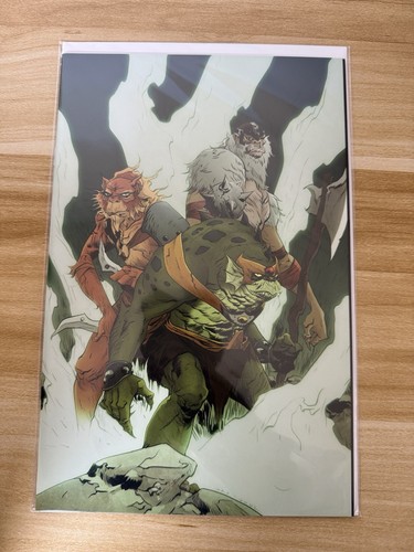 Thundercats cvr 30 copy - cvr,