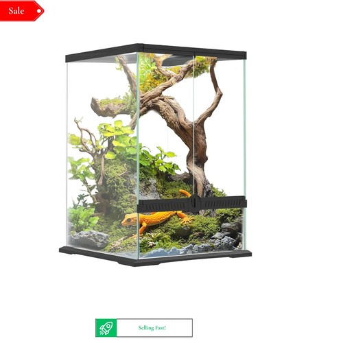Reptile vivarium 40l - reptile, glass