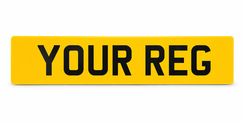 Rear yellow number - rear,