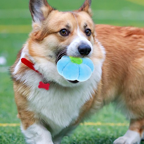 2pcs plush squeaky dog toy - toy, pet