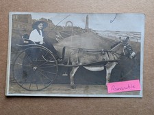 OLD PHOTO GIRL DONKEY CARRIAGE