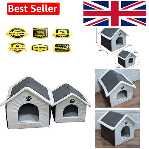 Indoor pet dog cat - dog, &