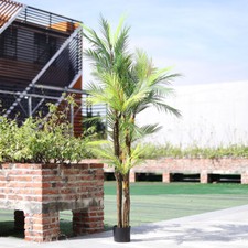 200cm Artificial Palm Tree