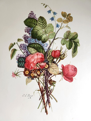 Jean louis prevost lilacs - louis,