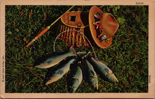 Fishing gear and catch - gear,