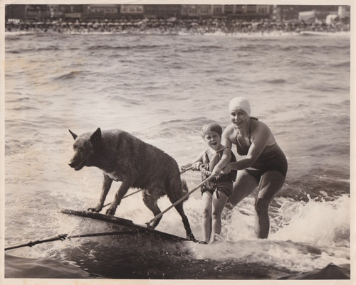 1941 press photo - water, circus