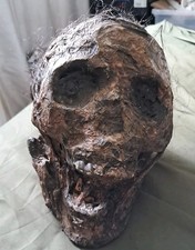Full Size Hand-Painted Movie Grade Corse Prop skull