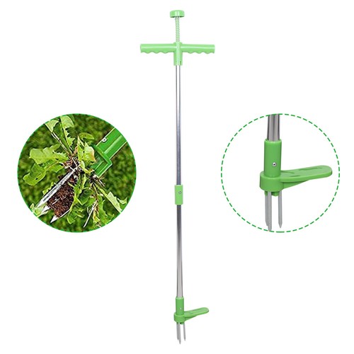 Weed cutter dandelion - weed,