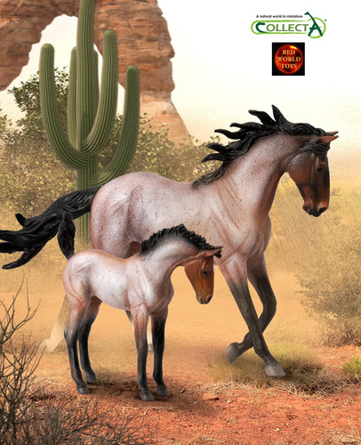Mustang bay roan - mustang, mare