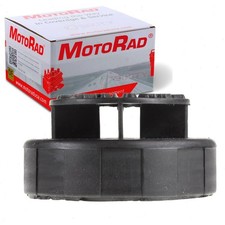 MotoRad T31 Engine Coolant
