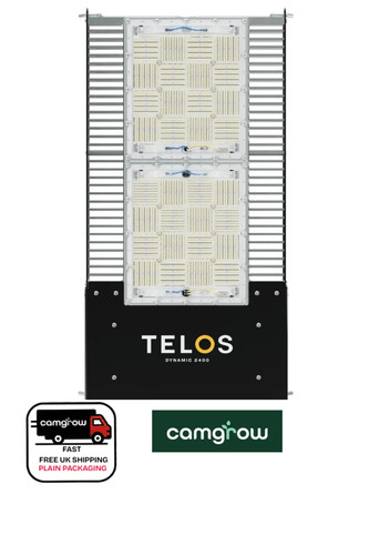 Telos led dynamic 2400 - dynamic,