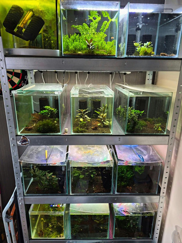 Glass cube mini - mini, 20l
