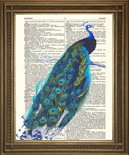 Peacock prints vintage bird - peacock,