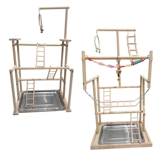 Parrot bird playground - parrot,