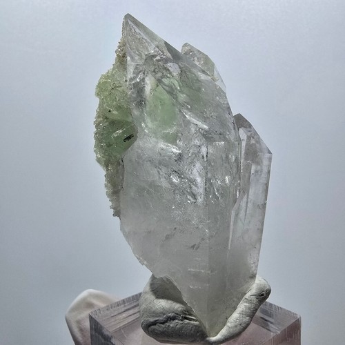 Very clear lemurian - very,