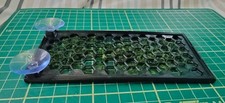 Aquarium moss wall with - aquarium,