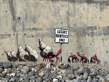 Banksy Luxury Rentals Hermit