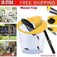 Mouse trap flip - trap, bucket