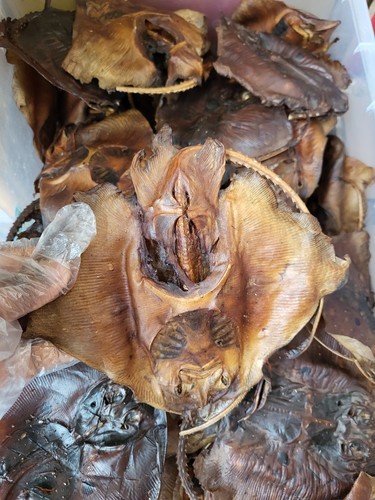 5pcs stingray fish delicious - 5pcs, fish.