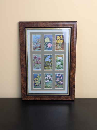Framed vintage wills - framed,