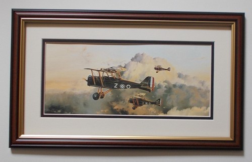 Aircraft print dawn - aircraft,