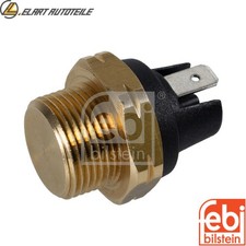 Temperature switch radiator