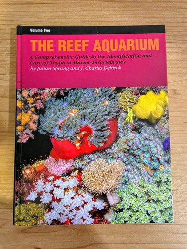 Ricordea publishing reef - ricordea,