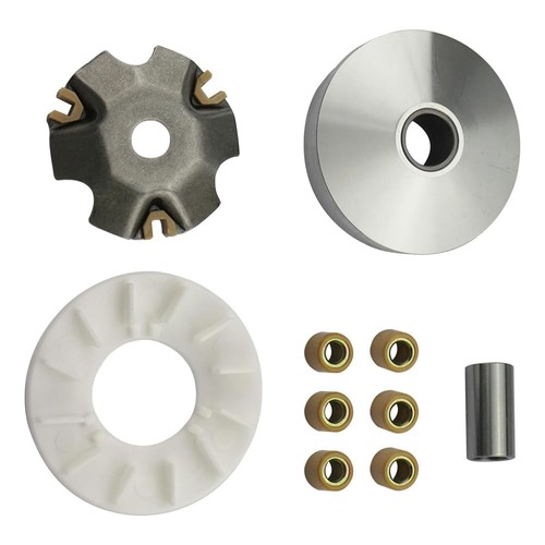 Variator assembly complete - variator,