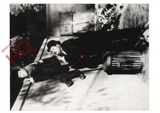 Picture Postcard- Laurel and